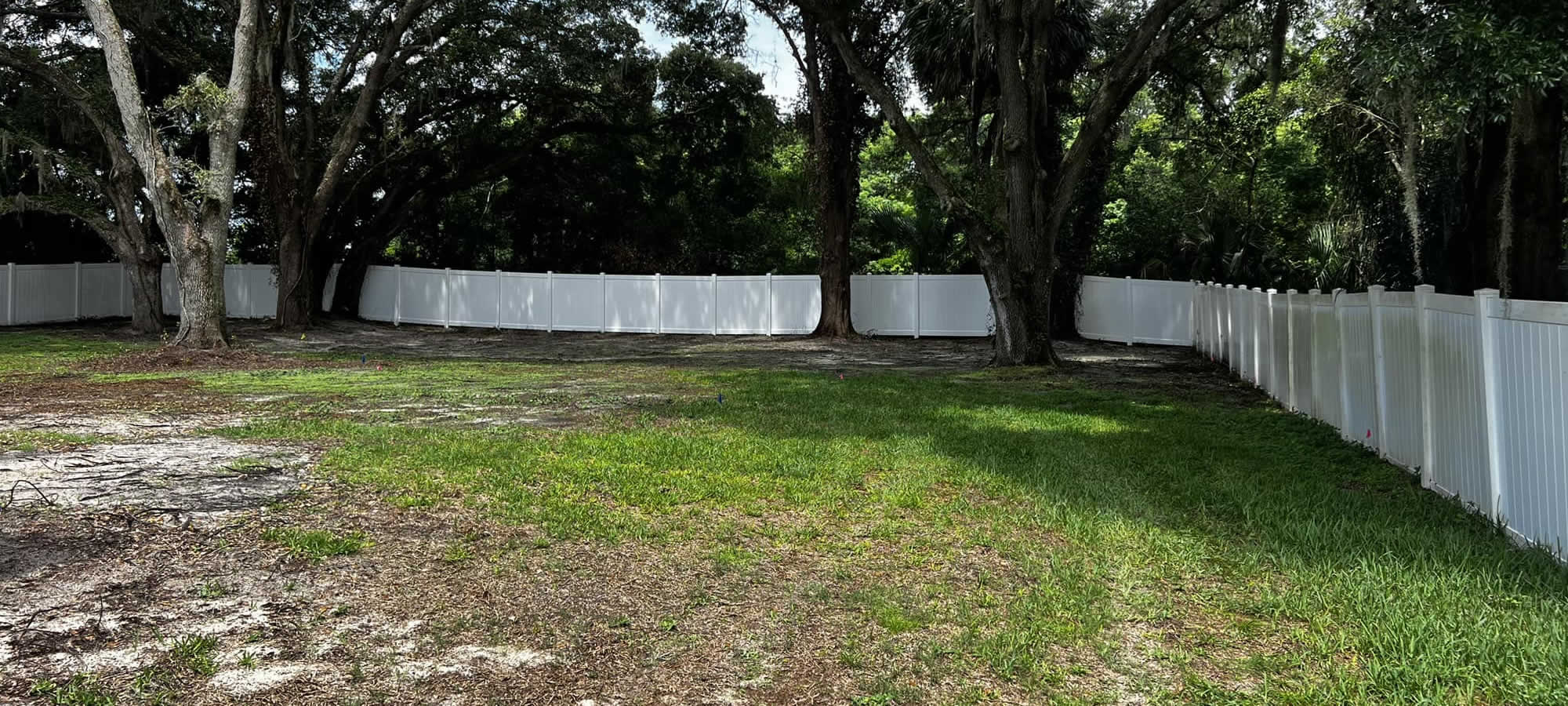 Dog Fences in Central Florida