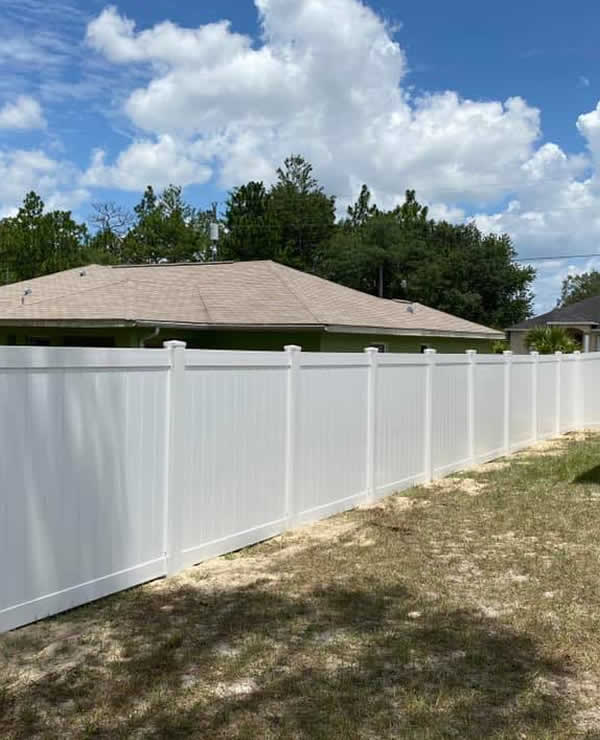 Why Dog Fencing Is Important for Your Property
